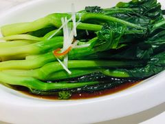 -金春禧(世茂国际广场店)