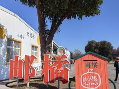 -前小桔亲子创意农场·草莓采摘·露营烧烤