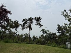 -东极岛景区
