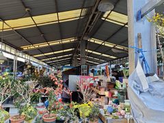 -曲阳花鸟市场(曲阳路店)