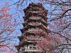 -洋湖国家湿地公园