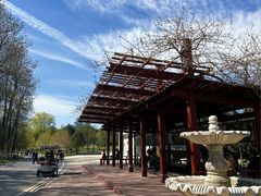 -石家庄市植物园