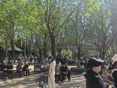 -长白岛森林公园