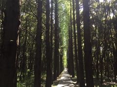 -同里国家湿地公园