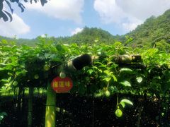 -梁野山景区