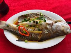 清蒸/红烧马友鱼-蛇口康乐快餐鱼仔档(翠苑小区店)