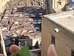 -穆莱拉赫制革厂