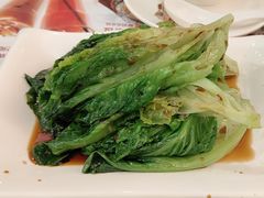 白灼生菜-粤赏点(越秀城市广场店)