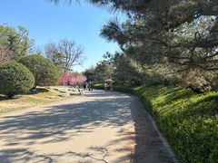 -燕郊植物园