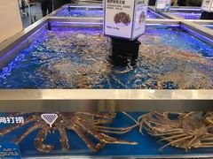 -盒马X会员店(上海森兰商都店)