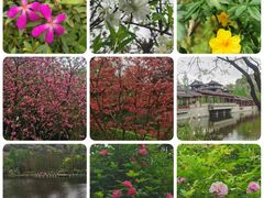-重庆彩云湖湿地公园