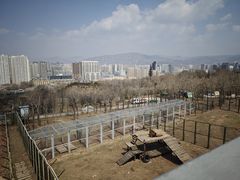 -青藏高原野生动物园