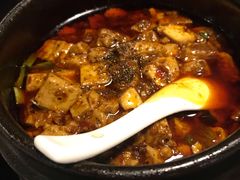 -陈麻婆豆腐总店