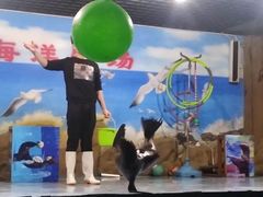 -嘉兴海底世界