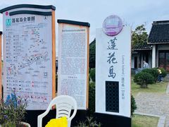 -莲花岛景区