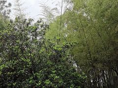 -故乡缘·香格里拉山庄(冷竹路店)