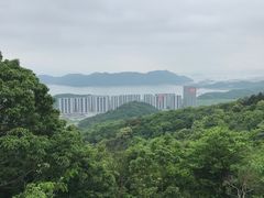 -黄贤森林公园