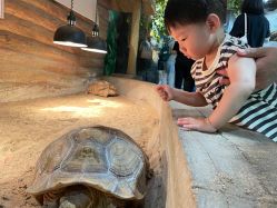 -Zoolung Zoolung动物主题公园(海信广场店)