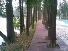 -秀全公园游泳馆(花都店)