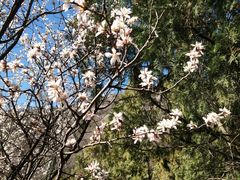 -北京西山国家森林公园