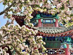 -济南大明湖景区