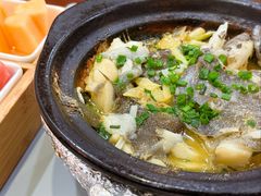 啫啫鸦片鱼头-金龙·打边炉(武进路店)
