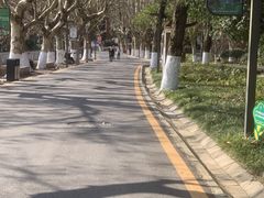 -花溪公园