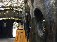 -疯狂屋