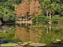 -中国科学院西双版纳热带植物园