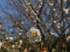 -慈城古县城景区