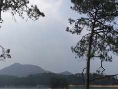 -广州市流溪河国家森林公园