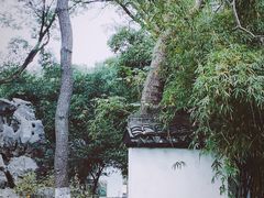-月湖公园