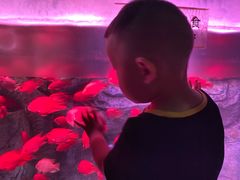 -泉城欧乐堡海洋极地世界