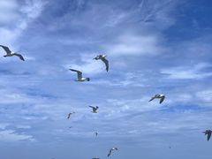 -海驴岛(荣成市)