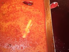 -小龙坎火锅(春熙太古里店)