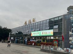 -珠江夜游省总码头