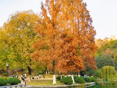 -环城公园-琥珀潭