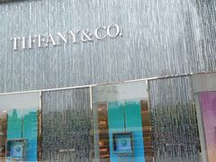-Tiffany & Co.蒂芙尼
(武汉武商MALL店)