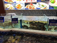 -蓝海大饭店·渔歌舫(黄岛店)