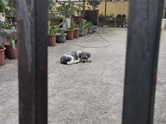 -宝通禅寺