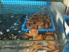 -阿弟特色海鲜餐厅·大排档(平潭店)