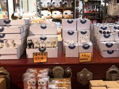 -猫咪博物馆(顶澳仔猫街店)