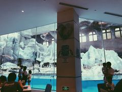 -帝企鹅自助餐厅•儿童岛•真企鹅(长隆企鹅酒店)