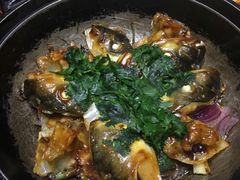 -石岐乳鸽村(南海第三分店)