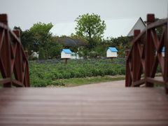 -广东花都香草世界旅游度假区