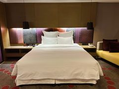 -南京禄口机场雅高铂尔曼大酒店