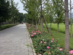 -西海子公园