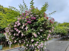 -中天钢铁体育馆(南一门店)