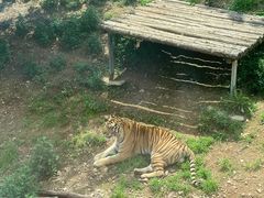 -大连森林动物园