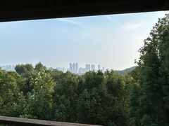 -西湖风景区-江洋畈生态公园